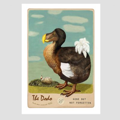 Dodo bird print